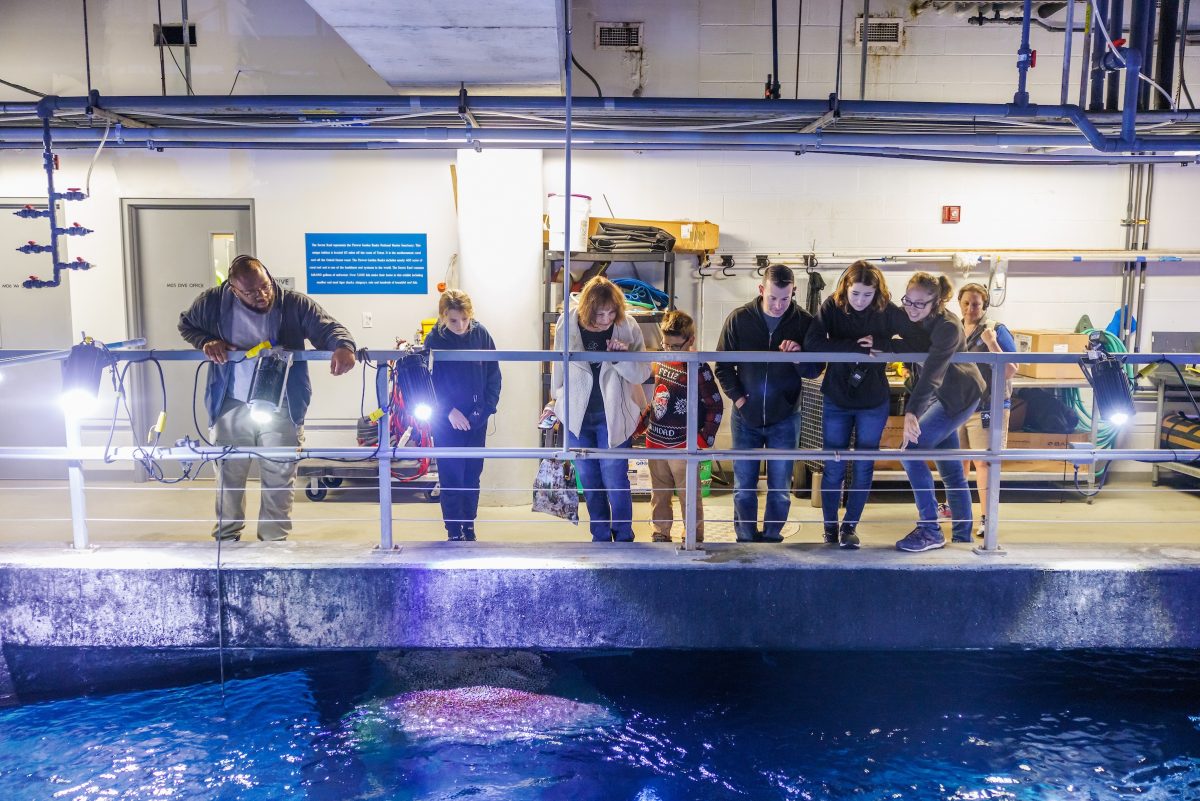 Educator with tour group above ocean tank