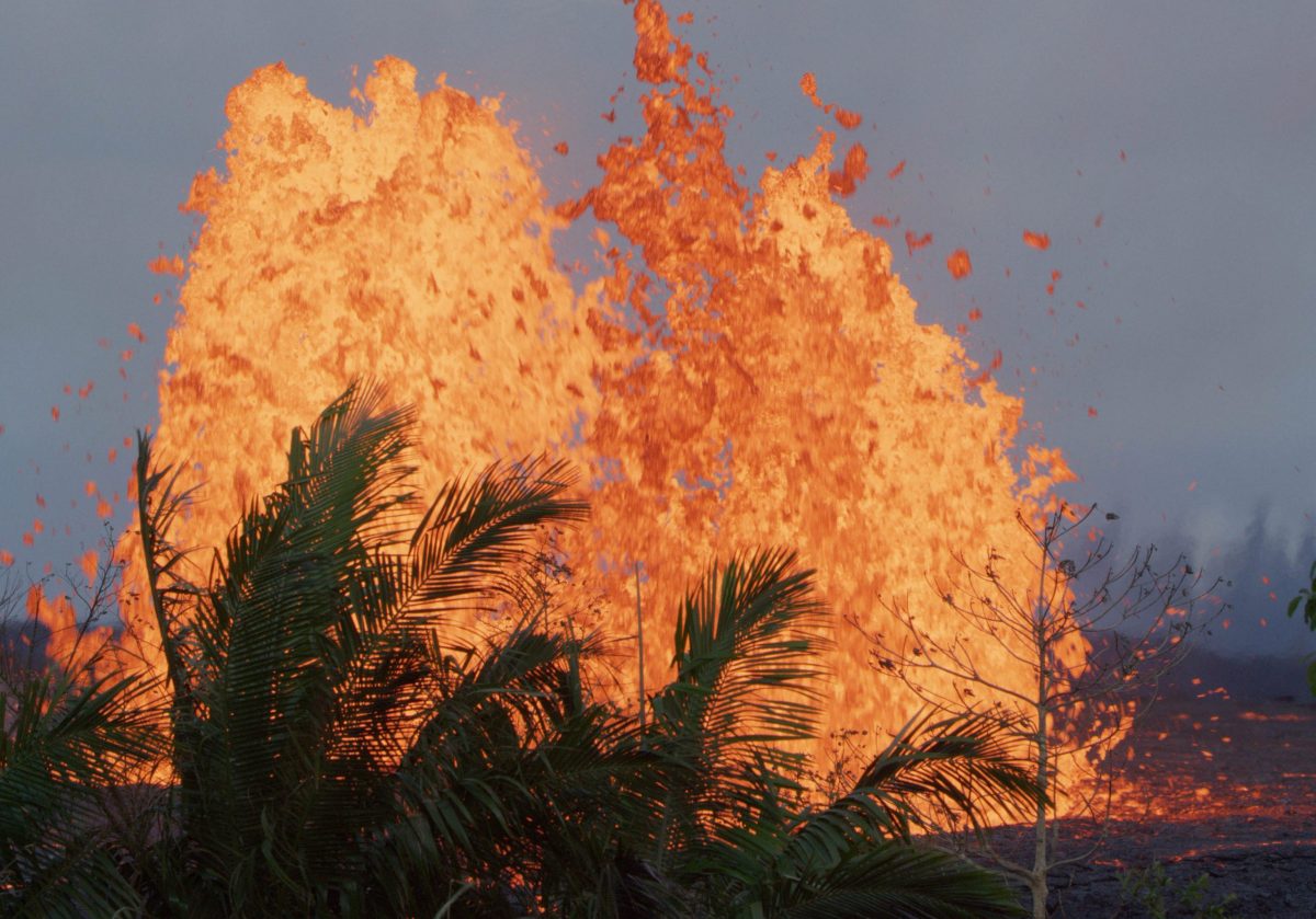 Hawaii Fissure behind palm trees