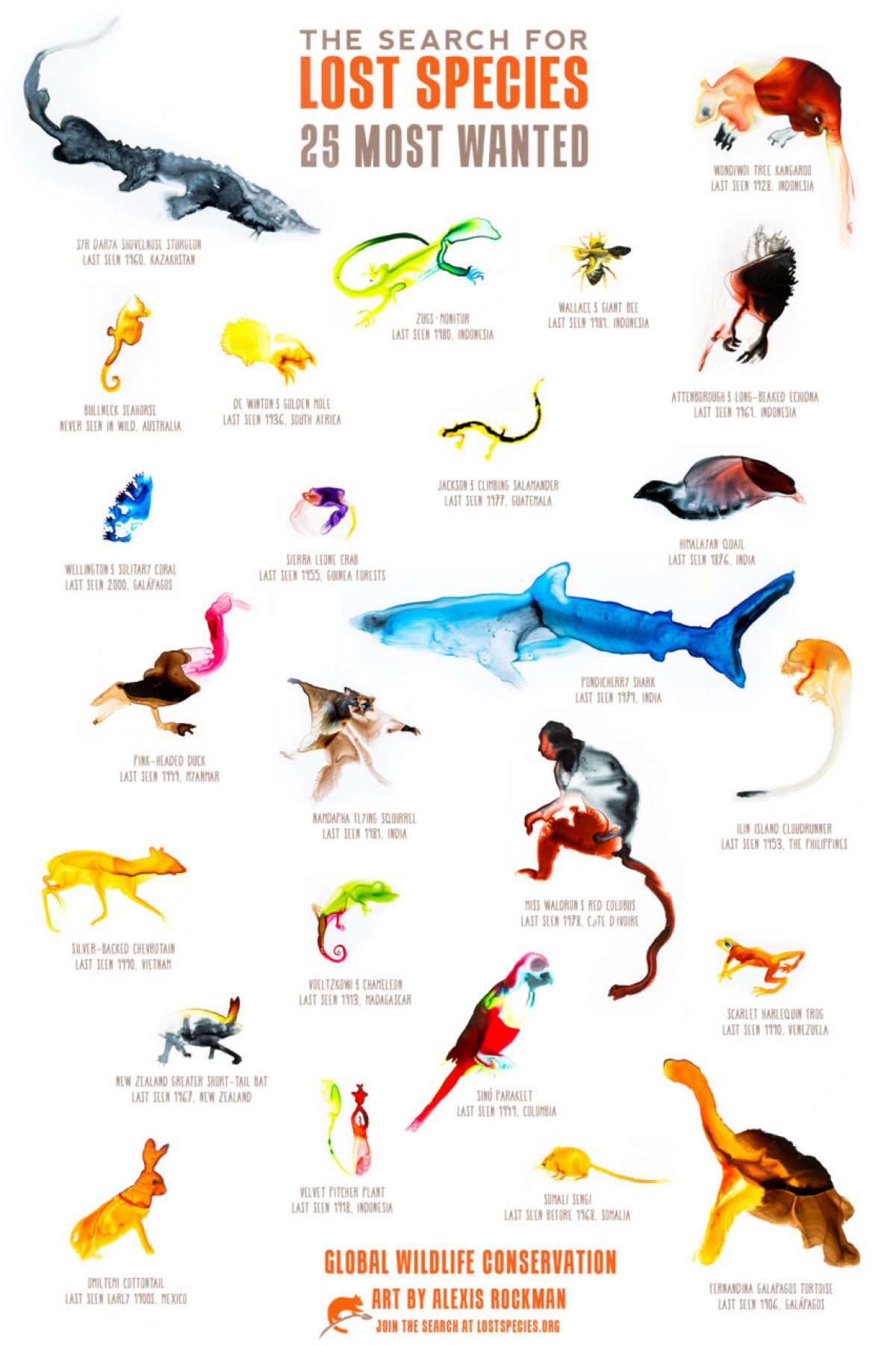 Top 25 Lost Species