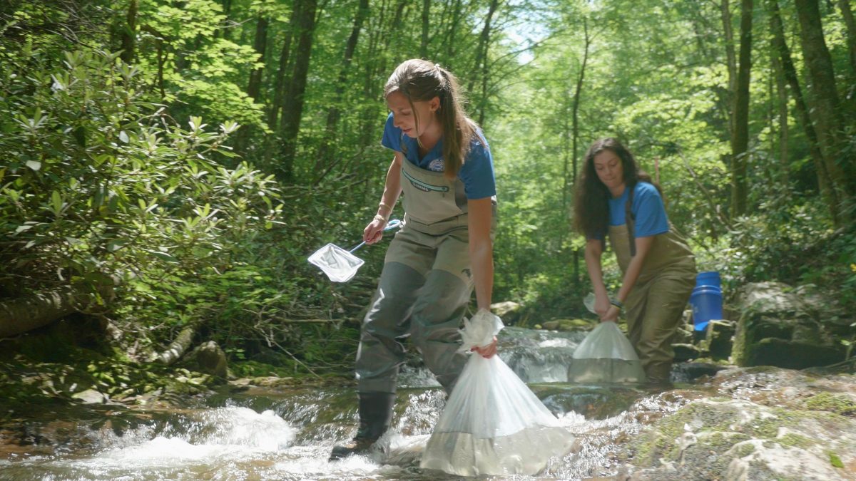 Reintroduction Biologist Meredith Harris and Reintroduction Assistant Hayley Robinson carry bags with baby trout