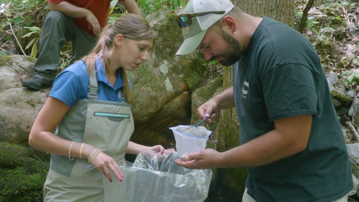 Reintroduction Biologist Meredith Harris