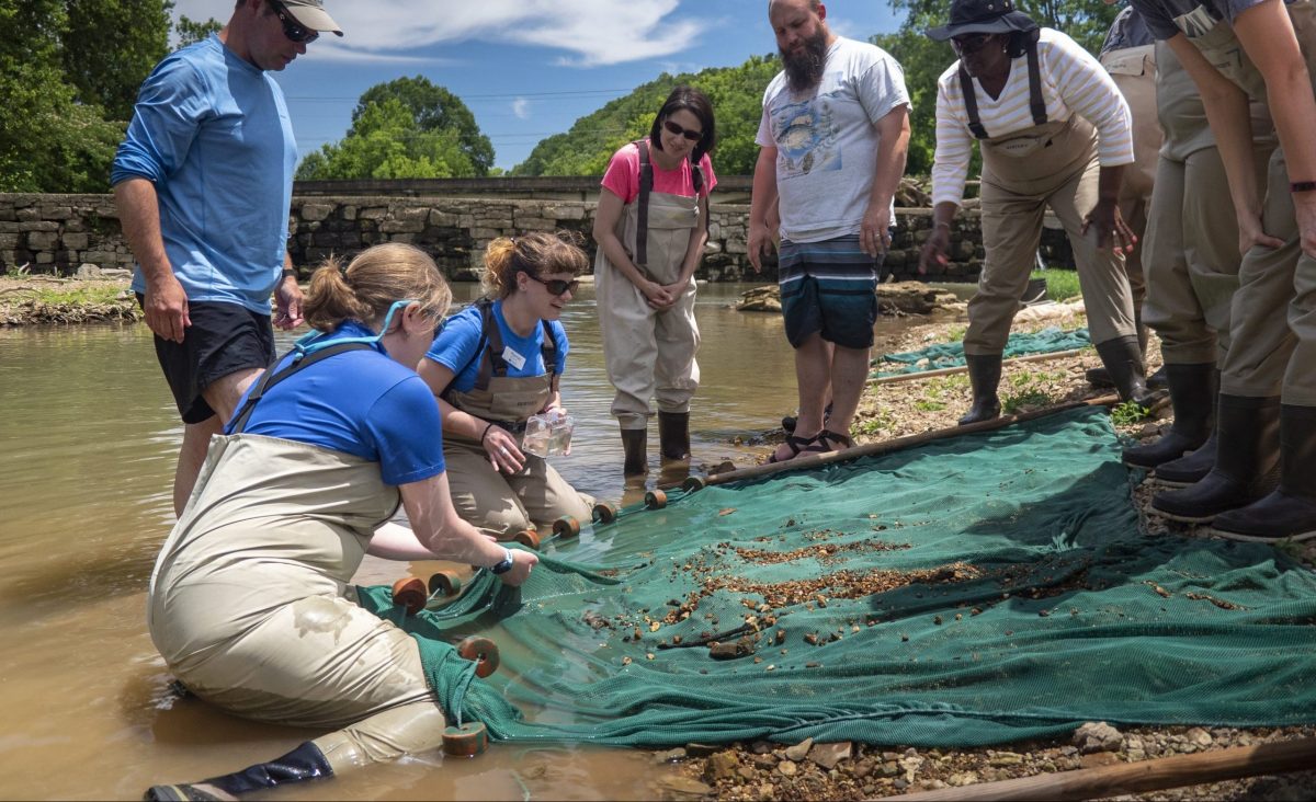 A Tennessee Aquarium’s River Teachers workshop