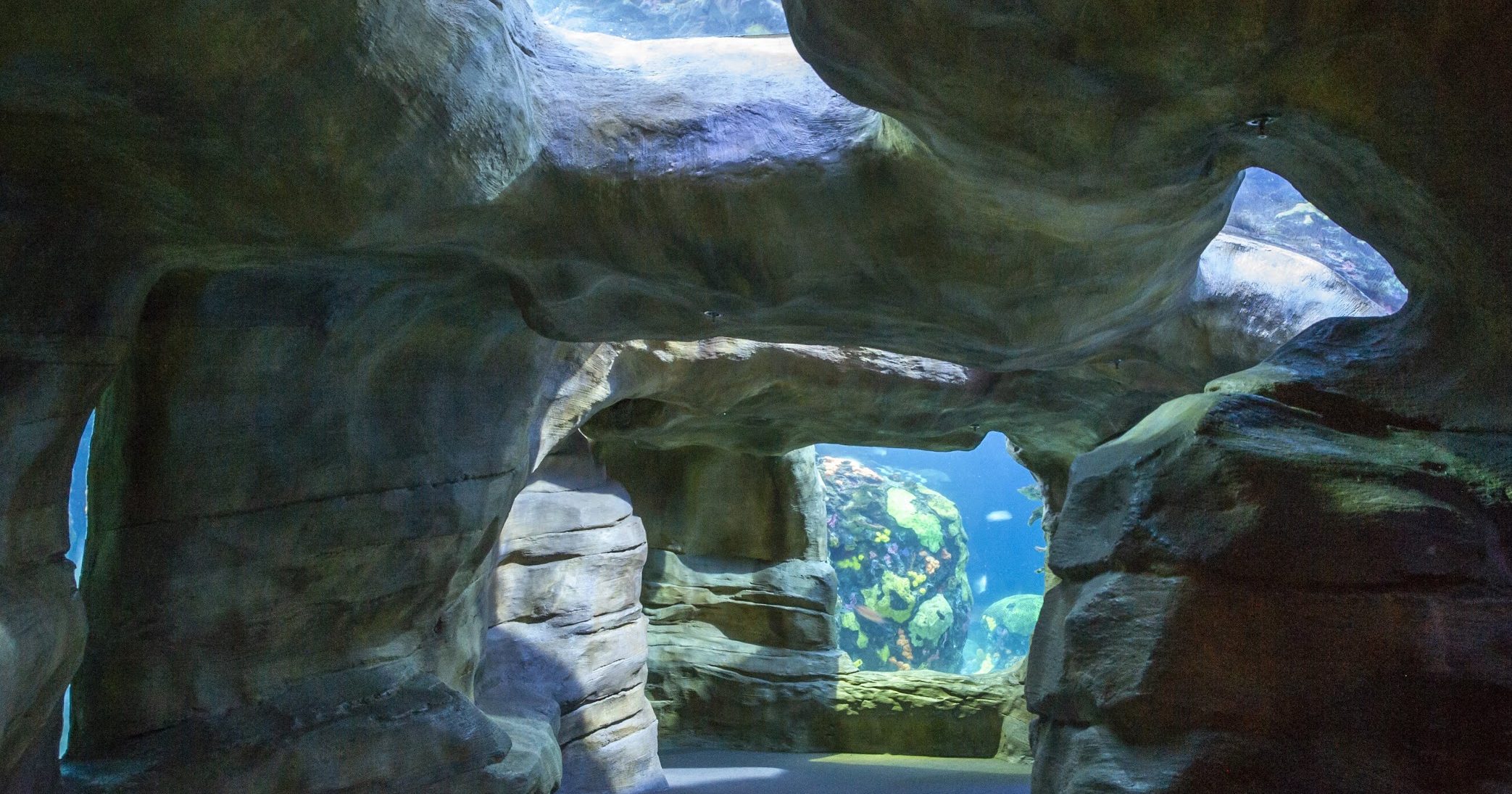 Secret Reef · Tennessee Aquarium