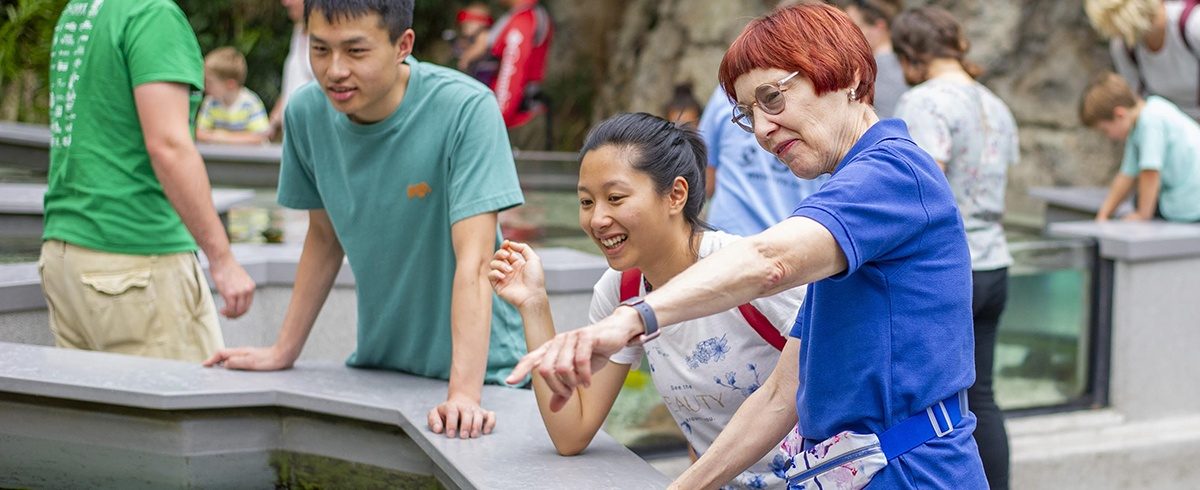 volunteer_at_touch_tank_subpage_header