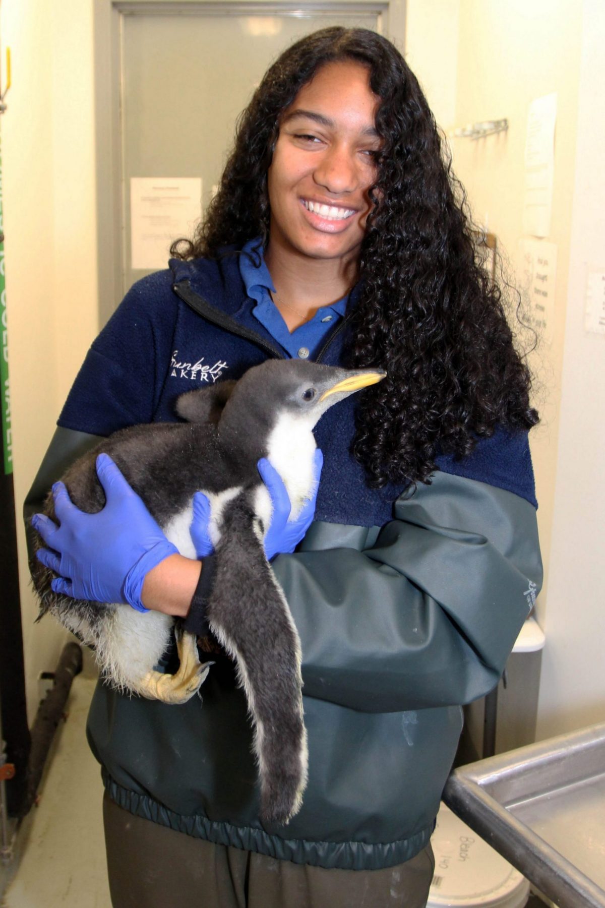 Amber Lowery holding baby penguin