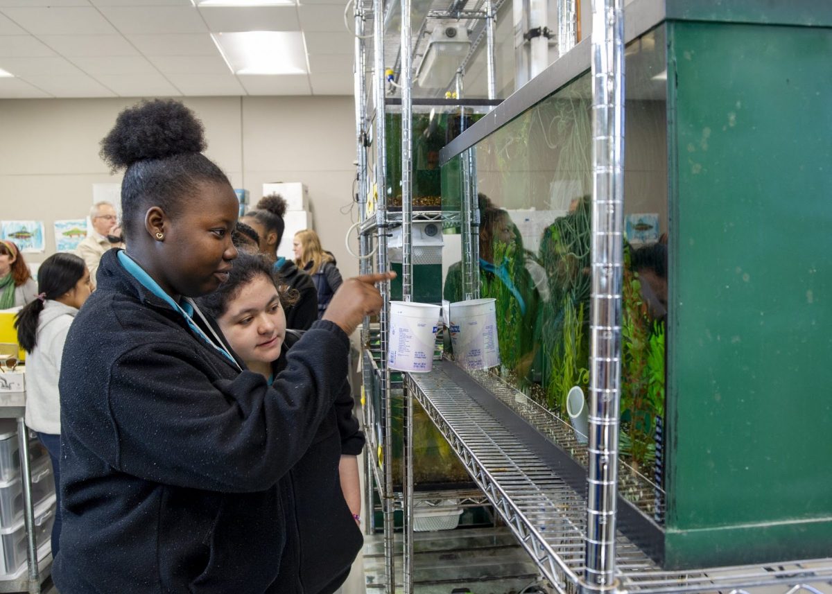 students viewing tank at Tennessee Aquarium conservation institute
