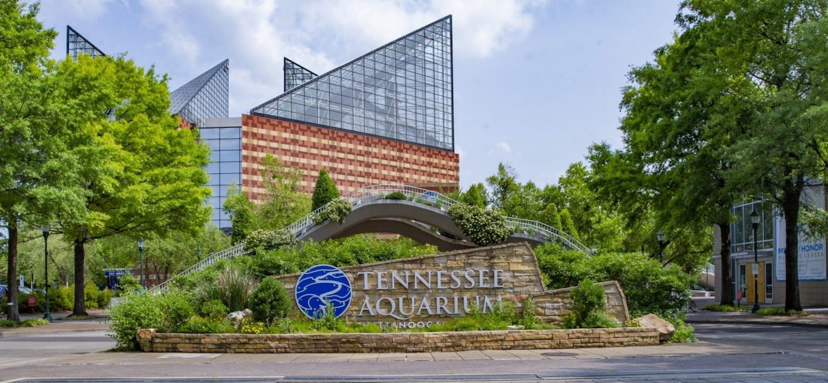 Tennessee Aquarium viewed from Broad St.