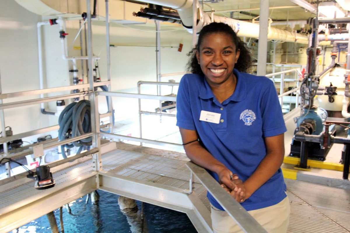 Jenae Ducre working above Aquarium tank