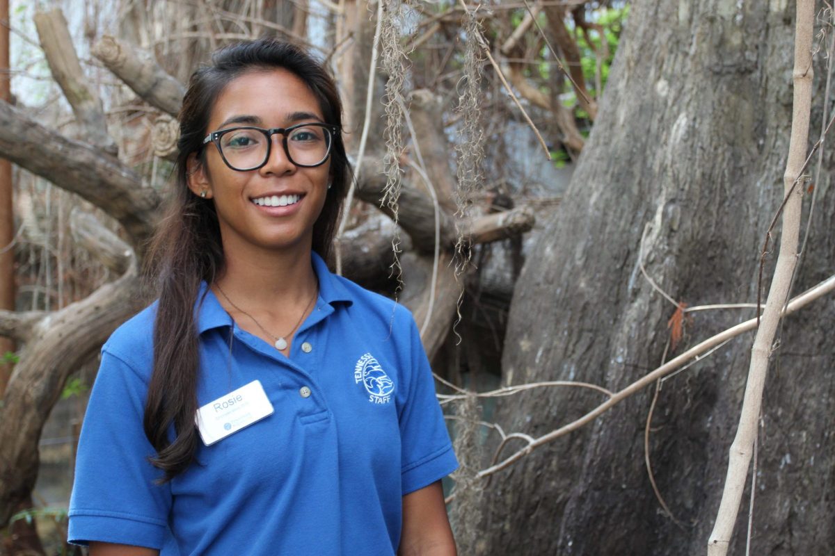 Rosie Velasco in the Tennessee Aquarium's Delta Swamp gallery