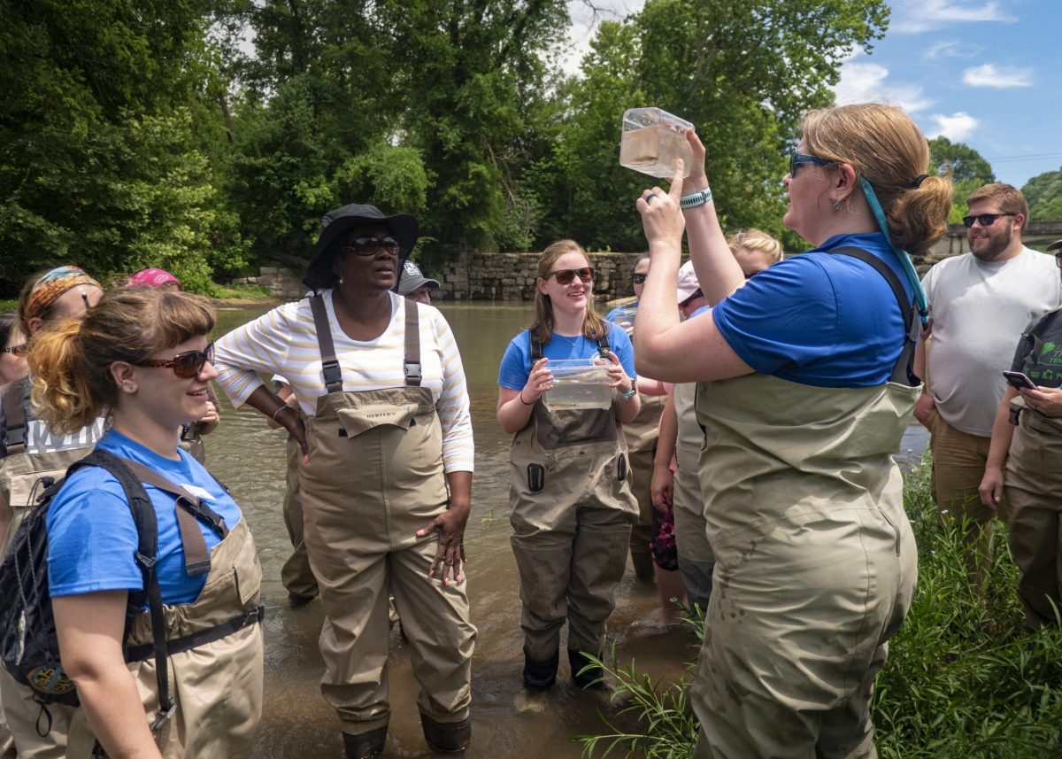 scientists with teachers in stream