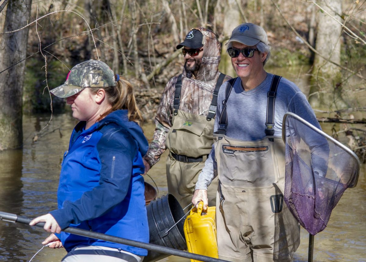 scientists in stream