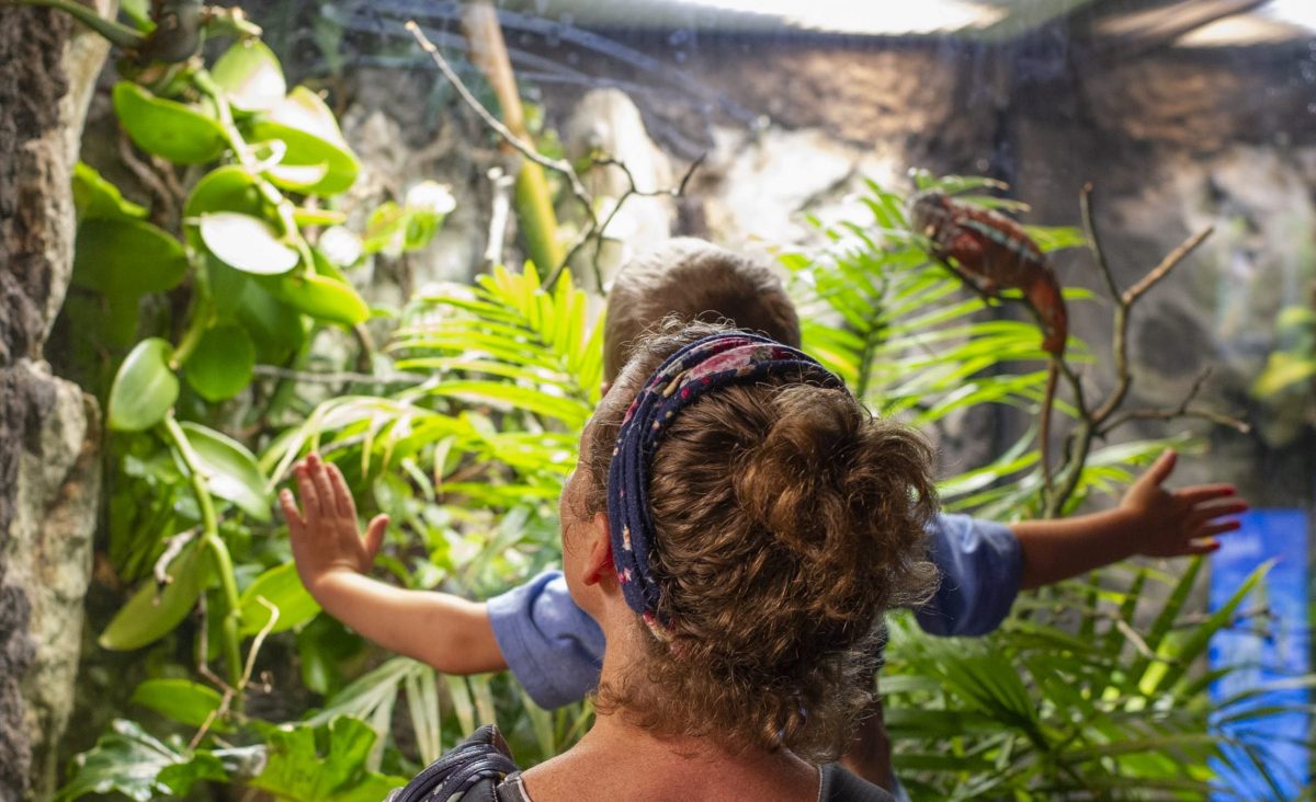 mother with child in Island Life gallery