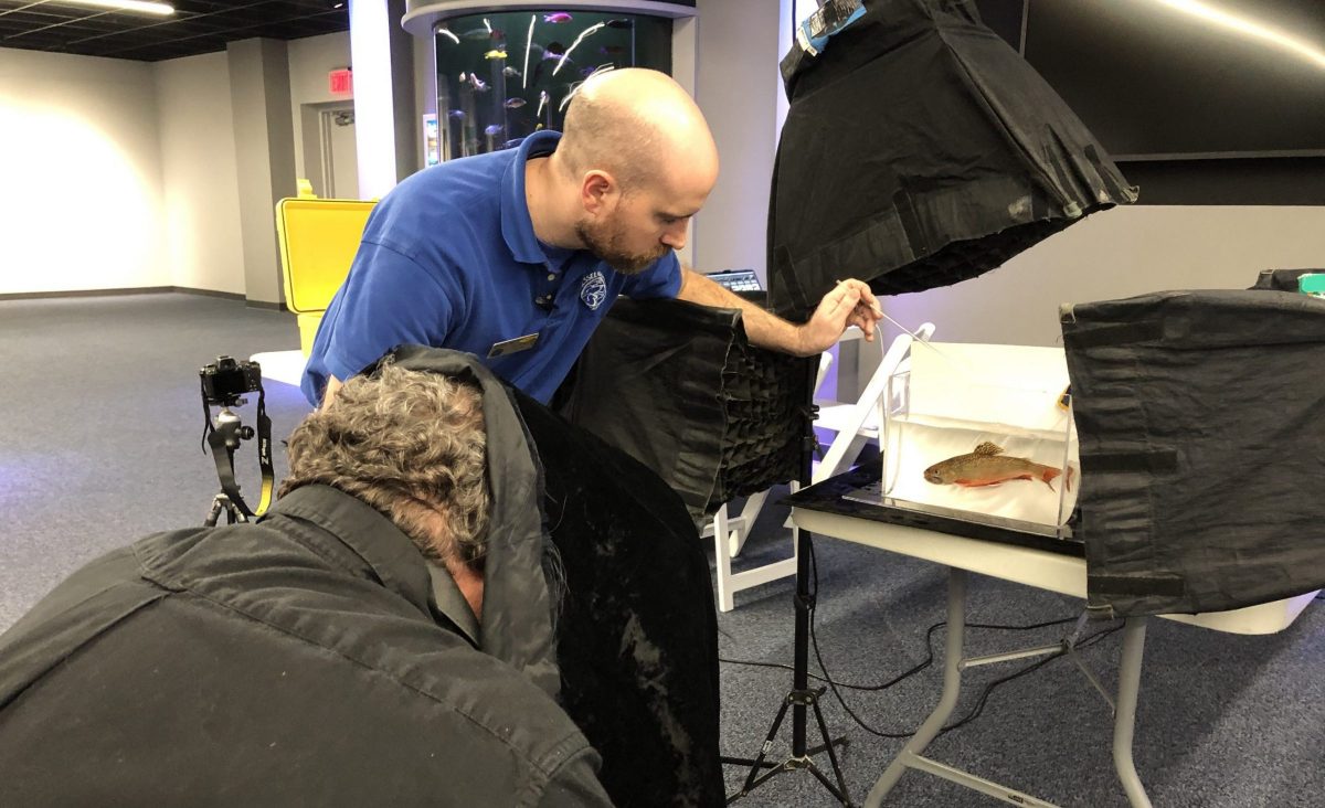 Joel Sartore photographing brook trout