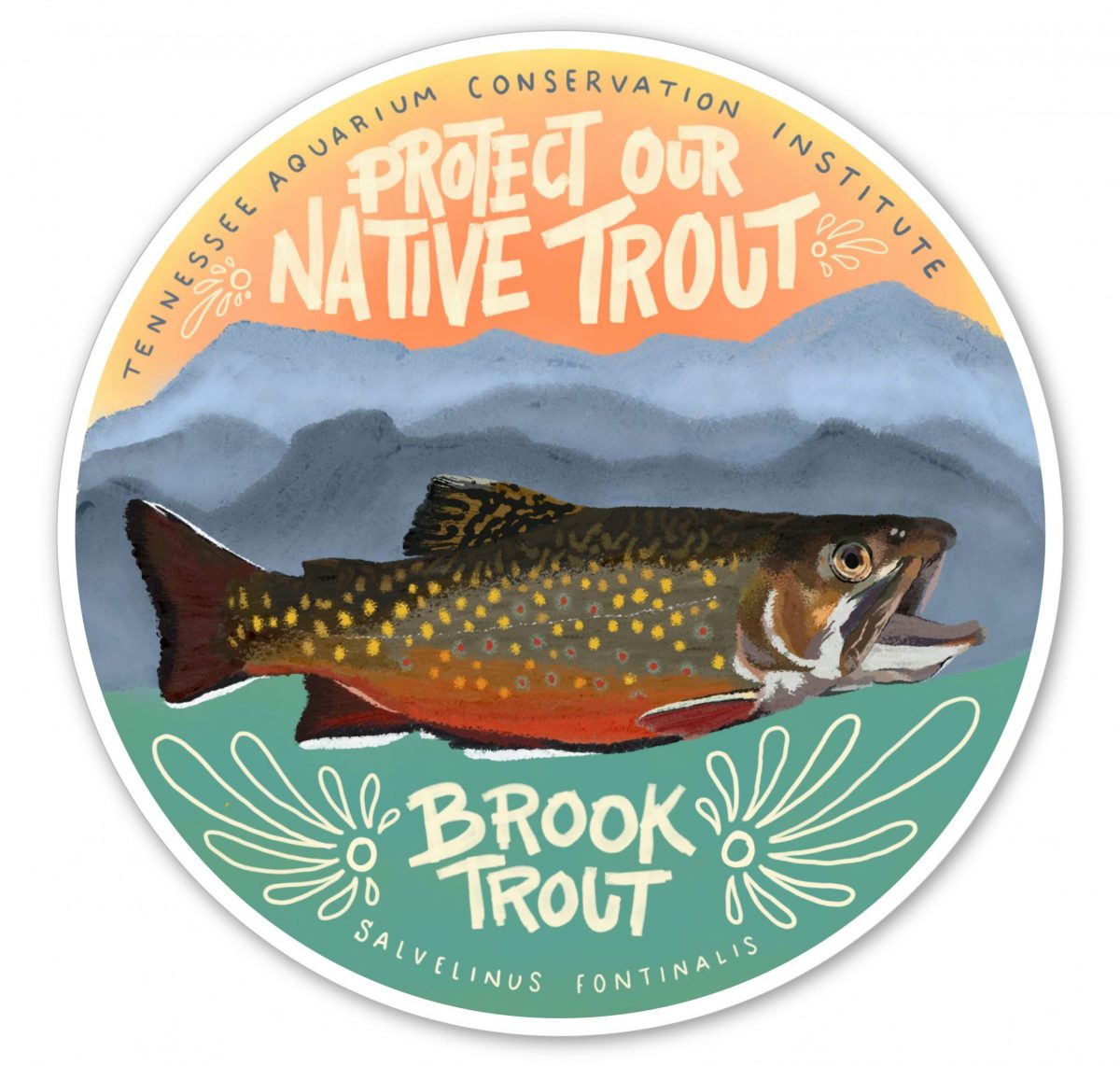 illustration of a brook trout with text - Protect Our Native Trout