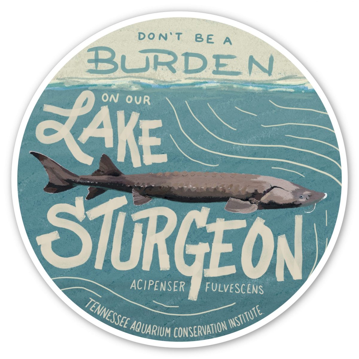 illustration of a Lake Sturgeon with wording Don't be a burden on the Lake Sturgeon