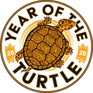 Year of the Turtle logo