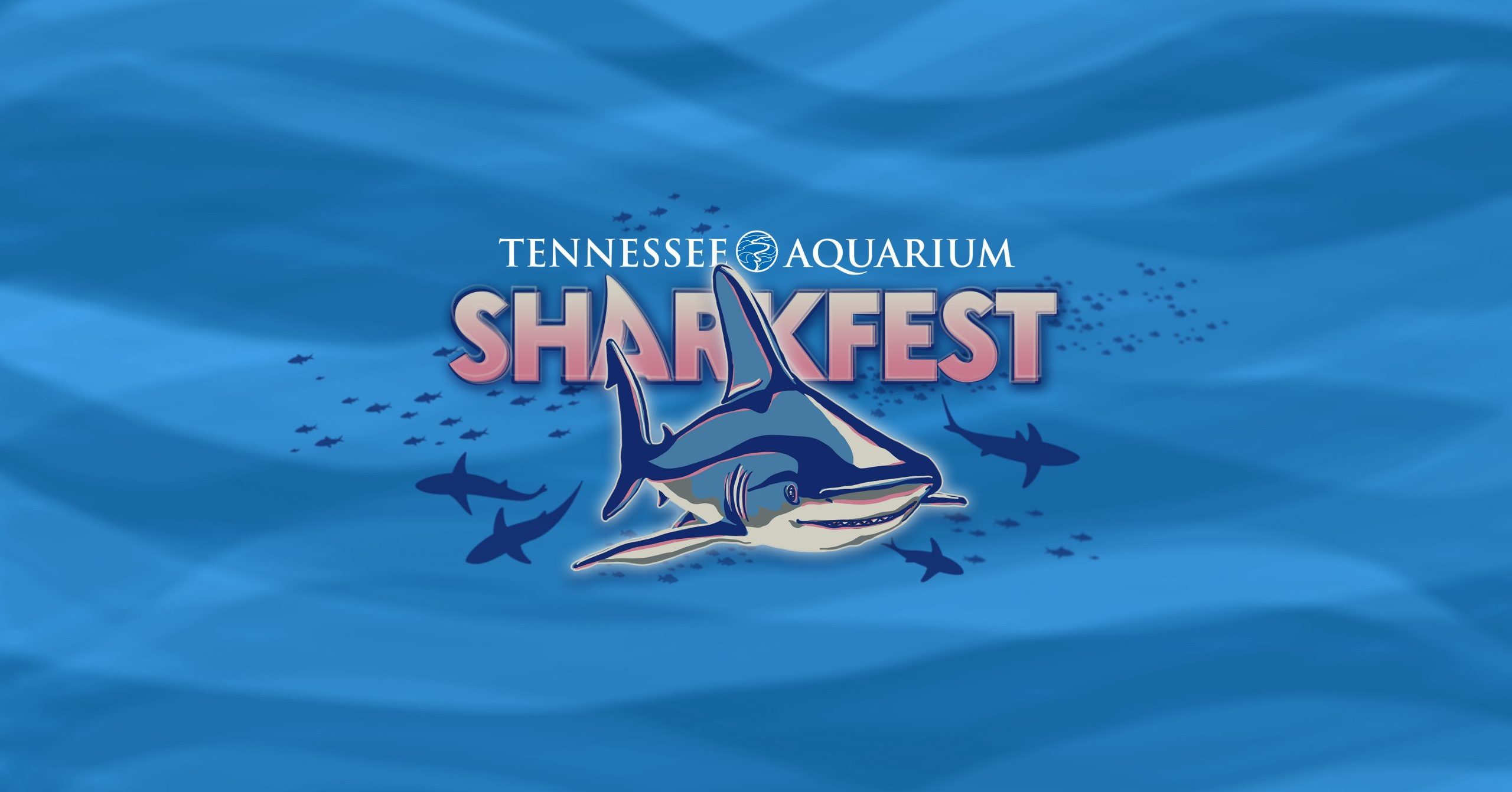 Tennessee Aquarium S Sharkfest Event Goes Virtual Tennessee Aquarium