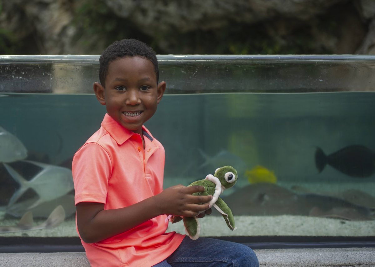 boy with stuffed turtle in front of tank