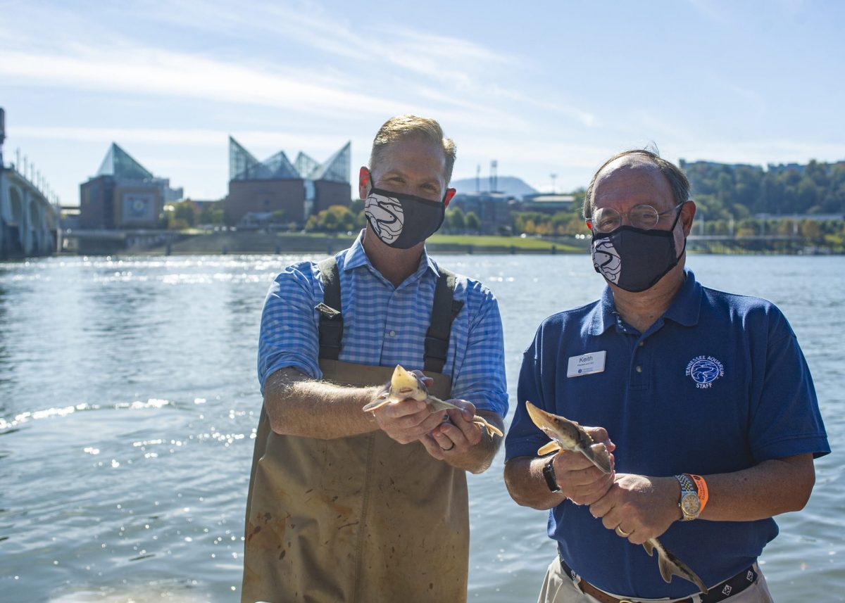 Aquarium board chair Chris McKee, left and President and CEO Keith Sanford hold juvenile Lake Sturgeon prior to their release into the Tennessee River