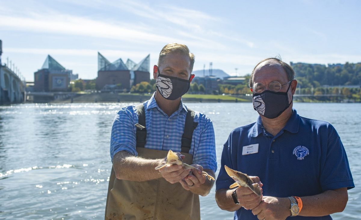 Aquarium board chair Chris McKee, left and President and CEO Keith Sanford hold juvenile Lake Sturgeon prior to their release into the Tennessee River