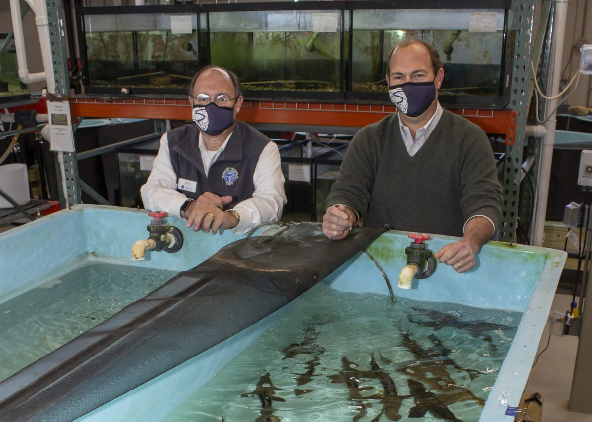 Keith Sanford and Ward Davenport at the Conservation Institute