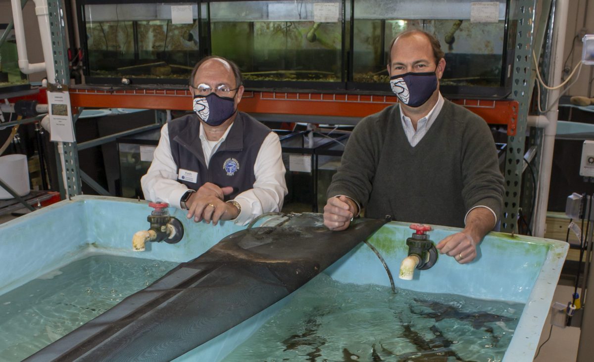 Keith Sanford and Ward Davenport at the Conservation Institute