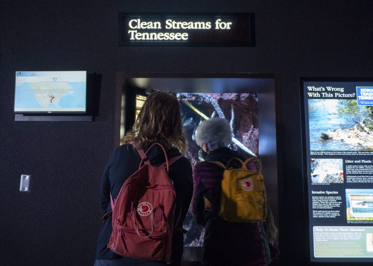 Two adults viewing Clean Streams exhibit