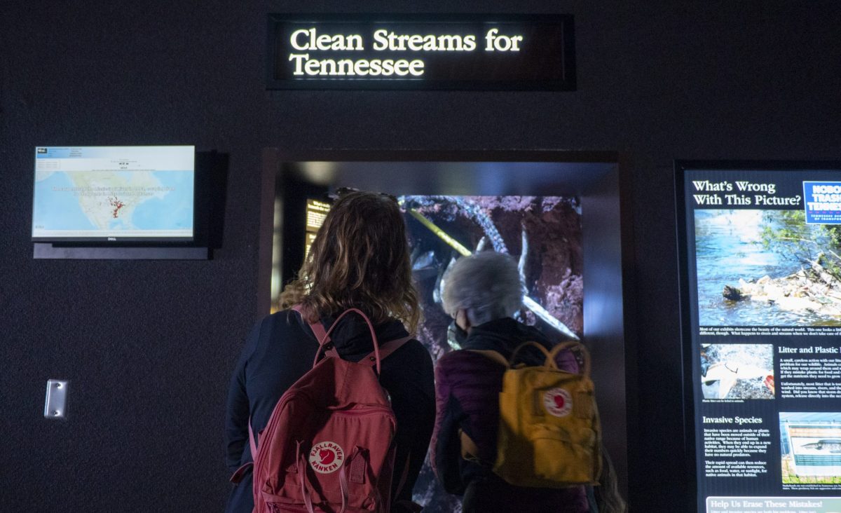 Two adults viewing Clean Streams exhibit