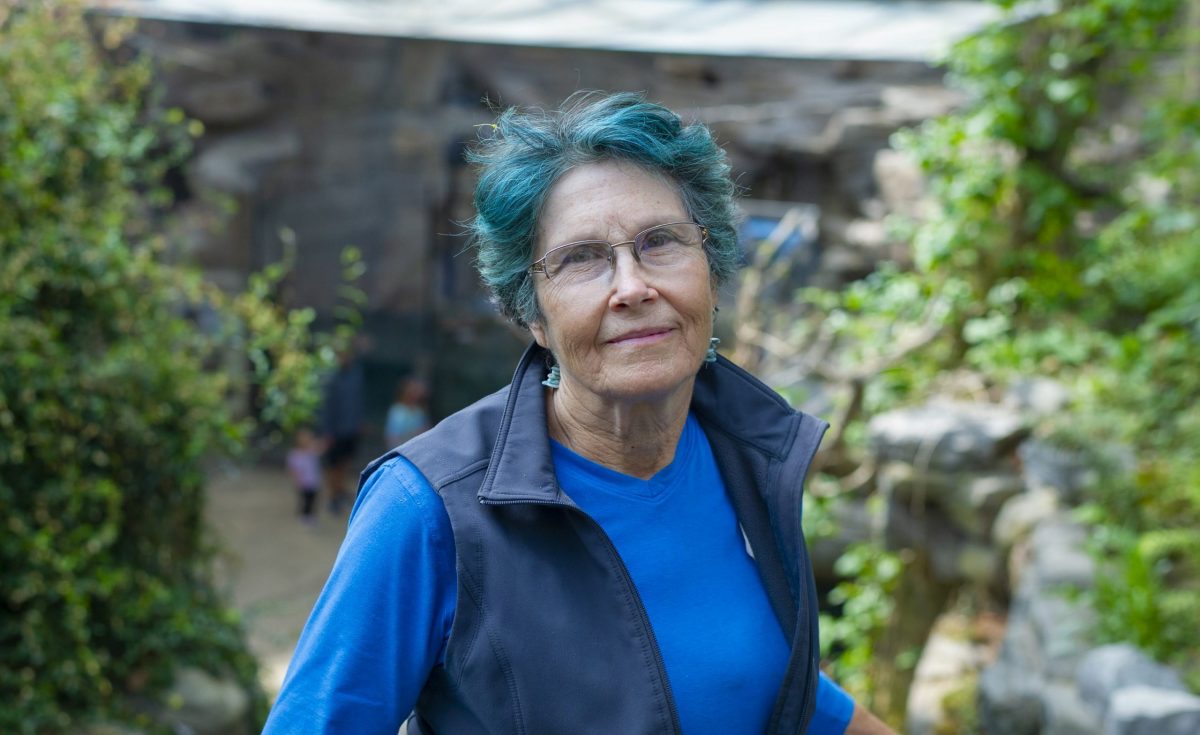 Lead Horticulturist Christine Hunt stands on an overlook in the Appalachian Cove Forest gallery