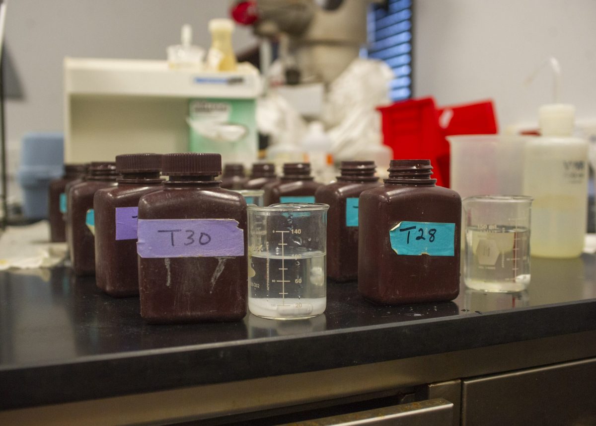 Water samples from various exhibits await testing in the Aquarium's Water Quality Lab