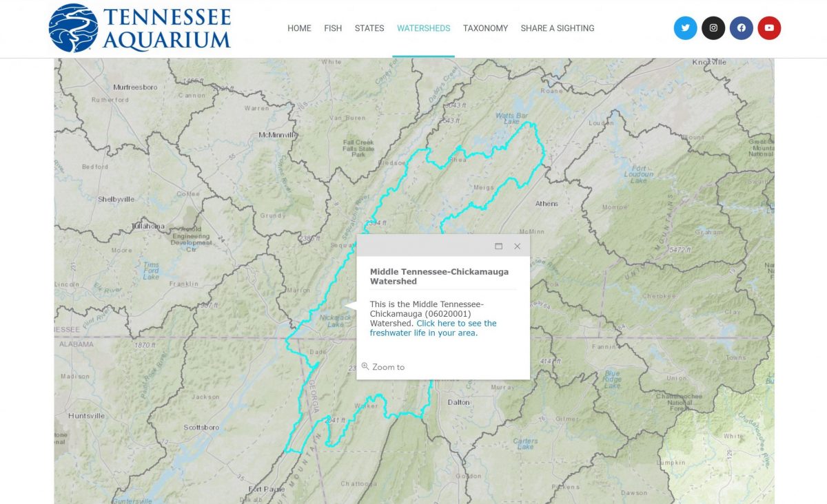 Screenshot of FIN watershed search feature, shown highlighting the Middle Tennessee-Chickamauga Watershed