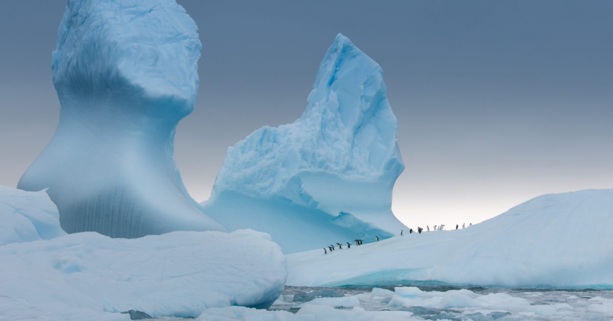 cropped-04_Antarctica-Photo-Select_Gentoo-penguins-on-iceberg-scaled-1.jpg