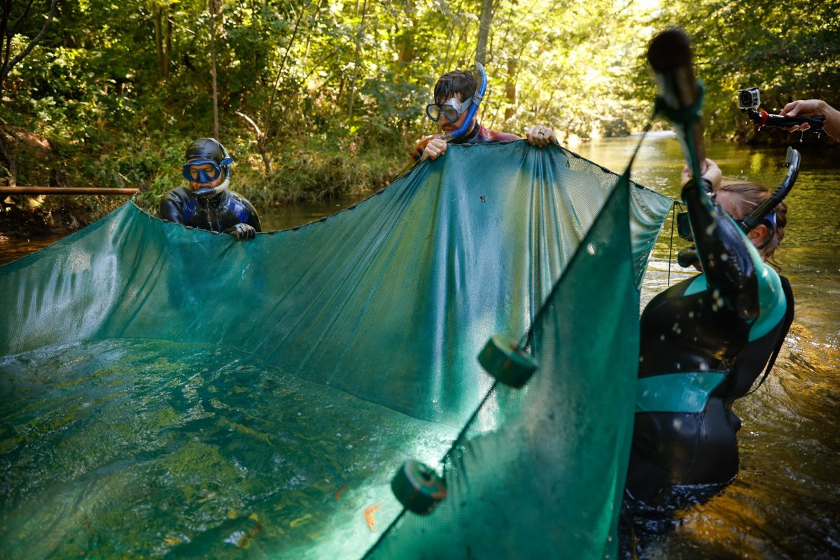 Scientists life a seine net from the water to collect Bridled Darters from Holly Creek