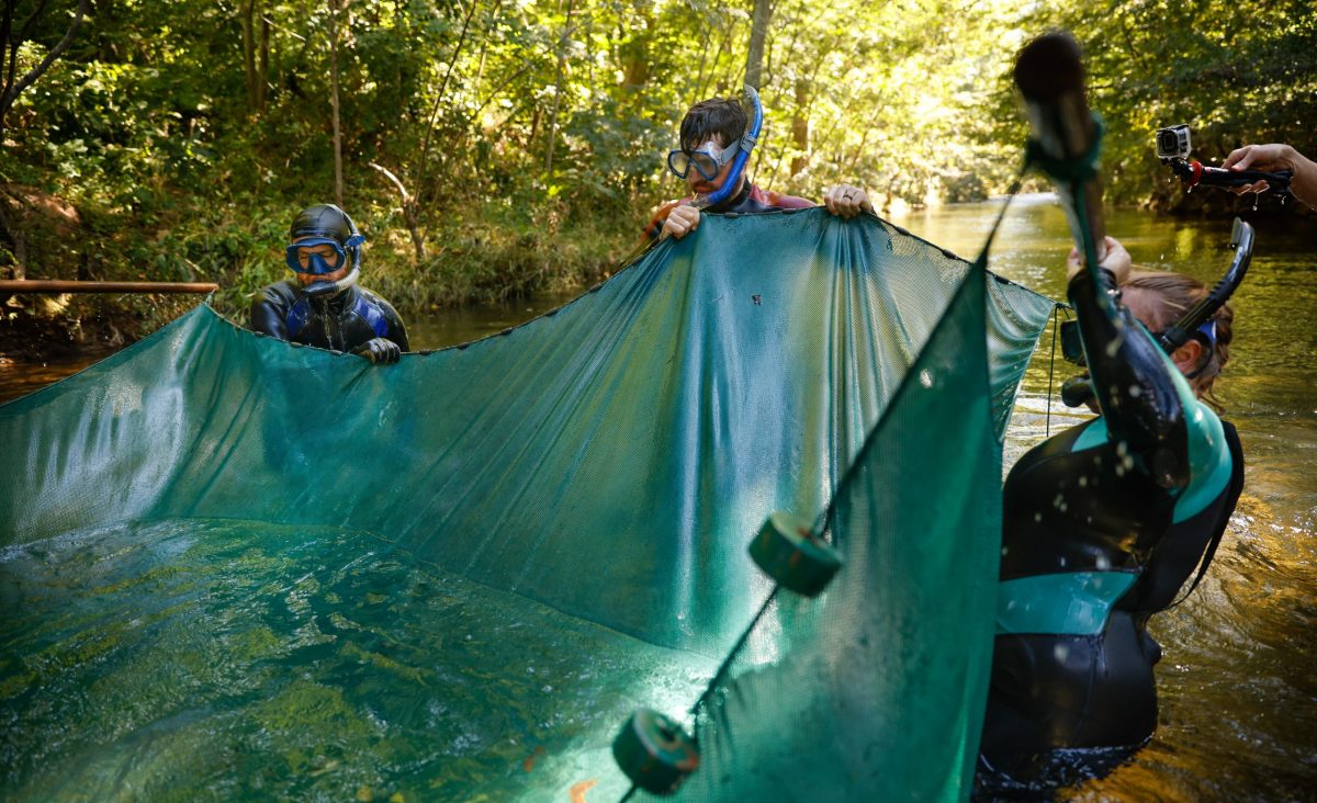 Scientists life a seine net from the water to collect Bridled Darters from Holly Creek