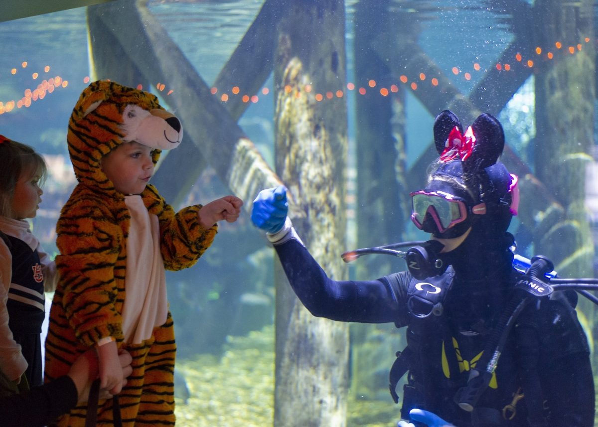 guests interacting with diver in halloween costumes