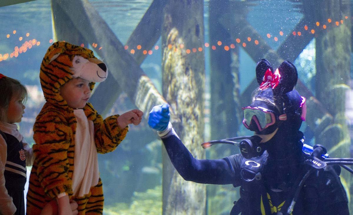 guests interacting with diver in halloween costumes