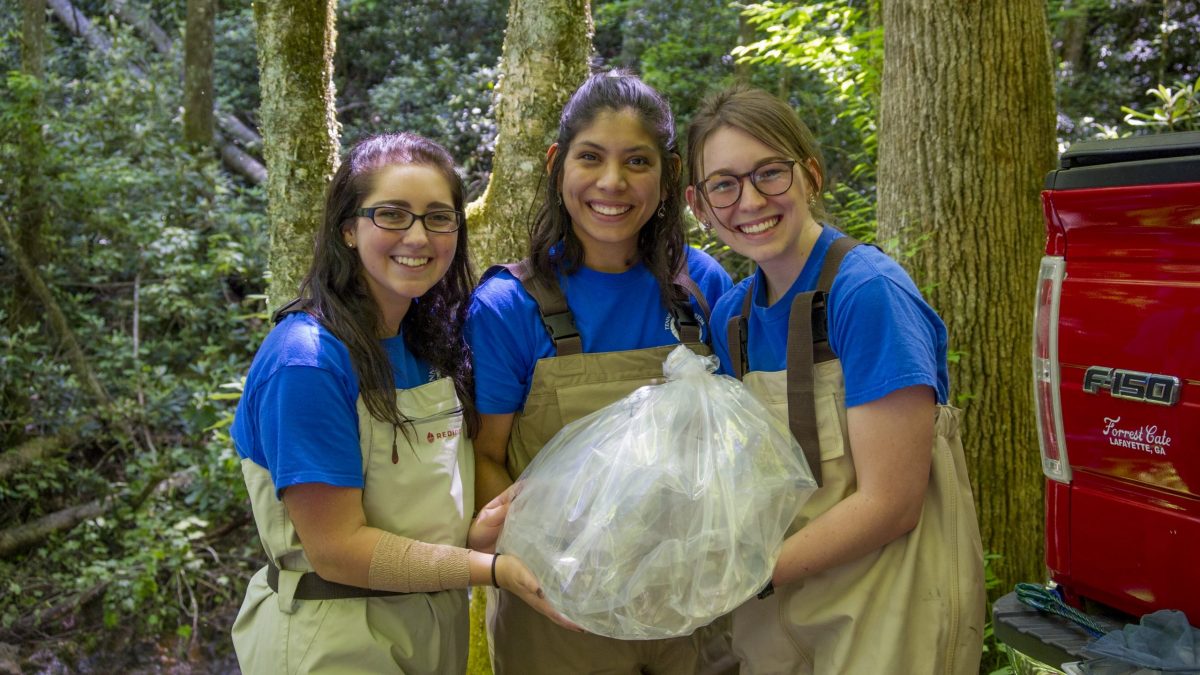 TNACI fellows in the field hold bags filled with juvenile Southern Appalachian Brook Trout ready for release