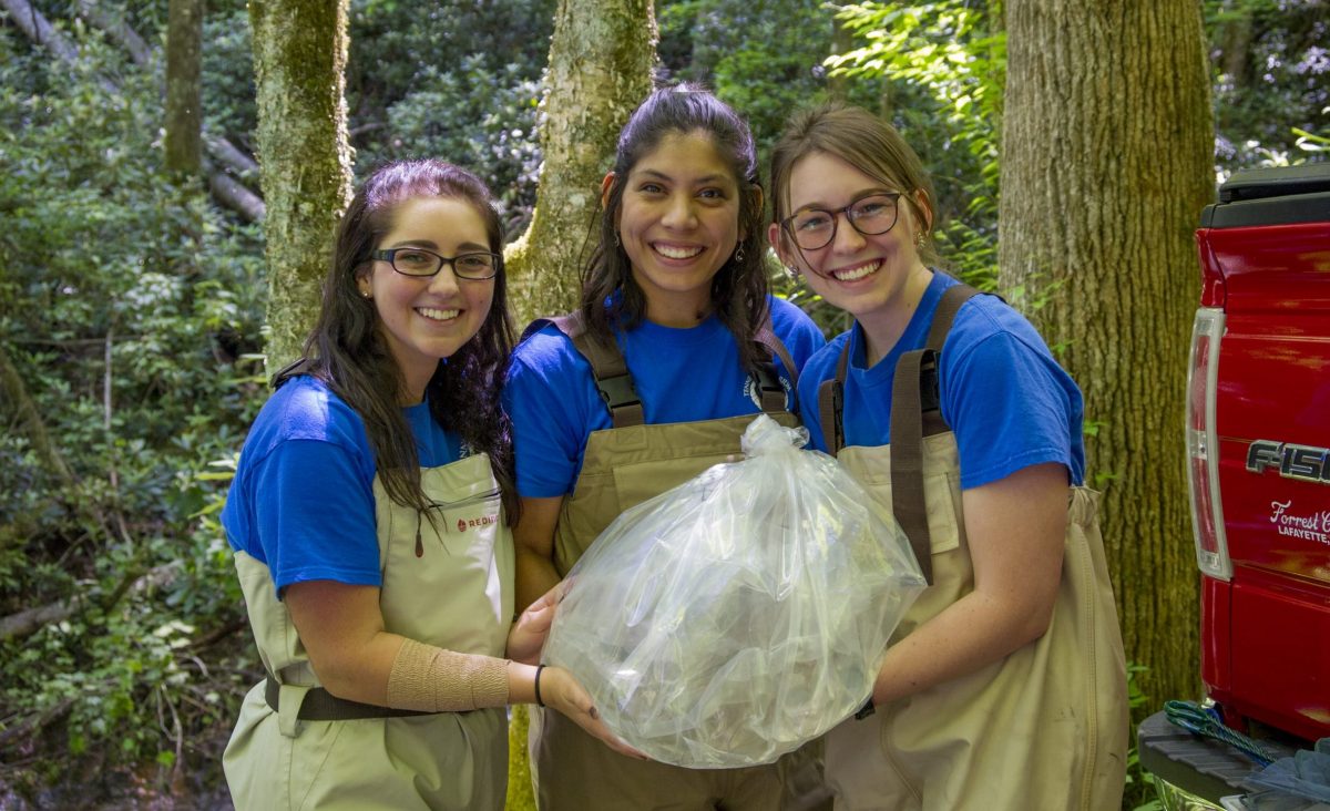 TNACI fellows in the field hold bags filled with juvenile Southern Appalachian Brook Trout ready for release