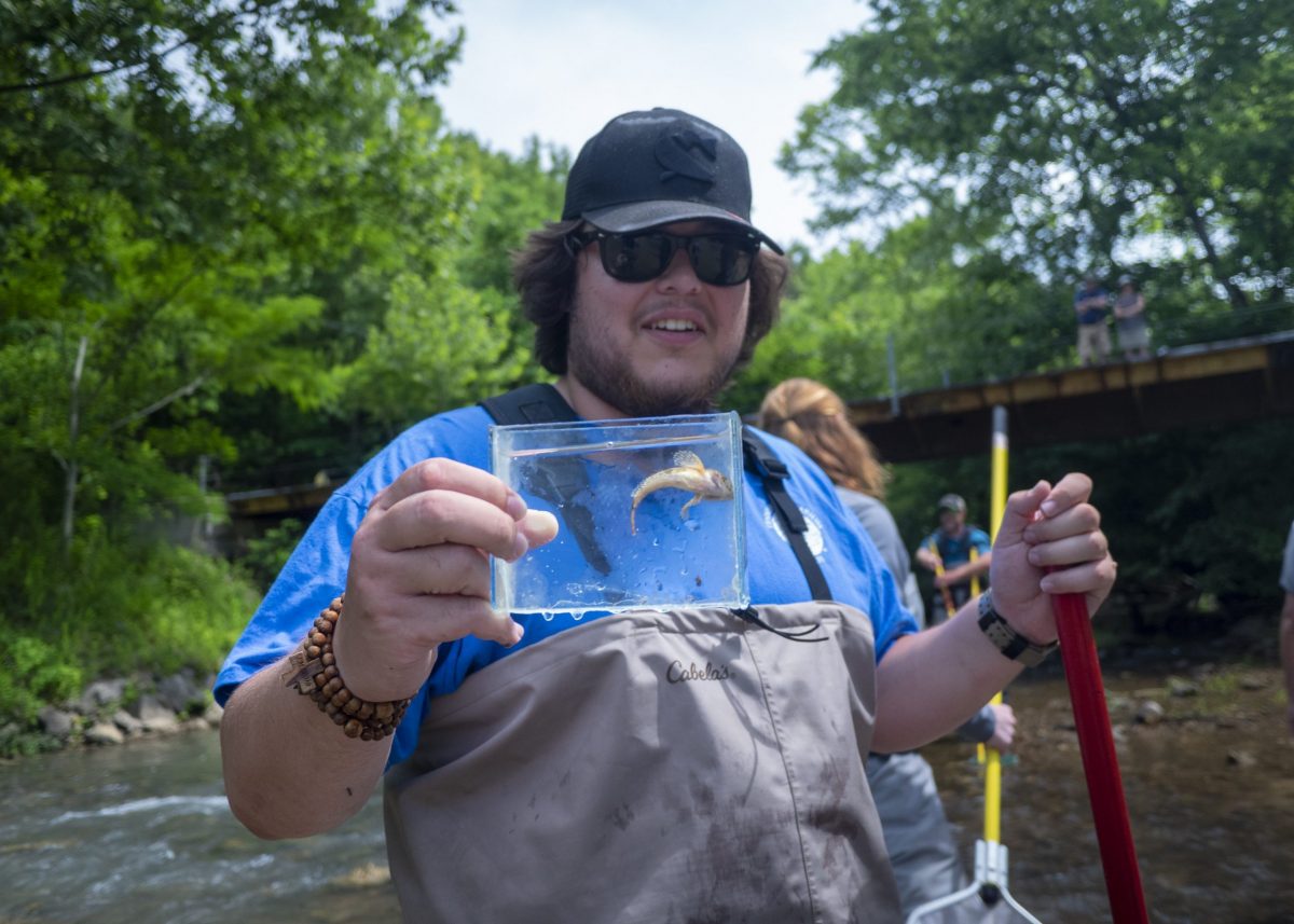 A TNACI fellow holds a fish collected from a stream