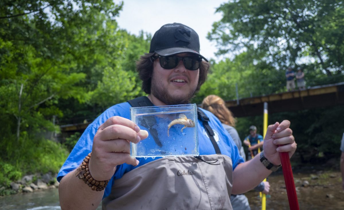 A TNACI fellow holds a fish collected from a stream