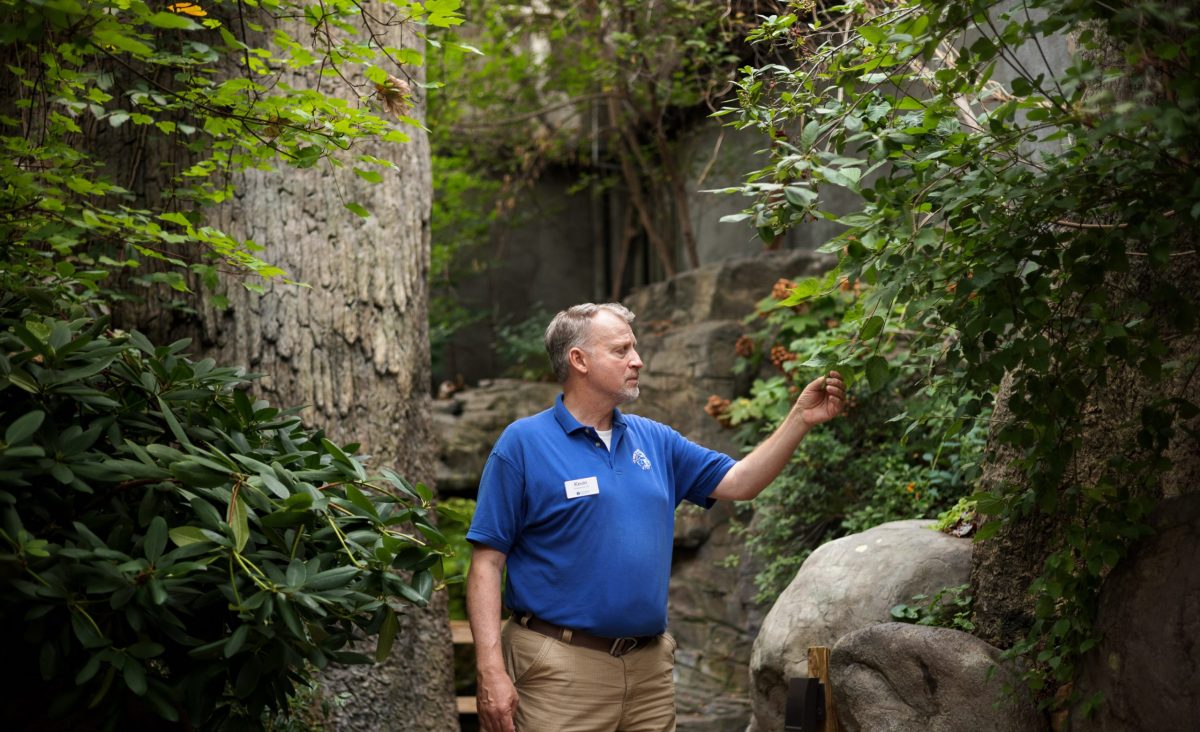 Tennessee Aquarium Director of Forests Kevin Calhoon in the Aquarium's Appalachian Cove Forest