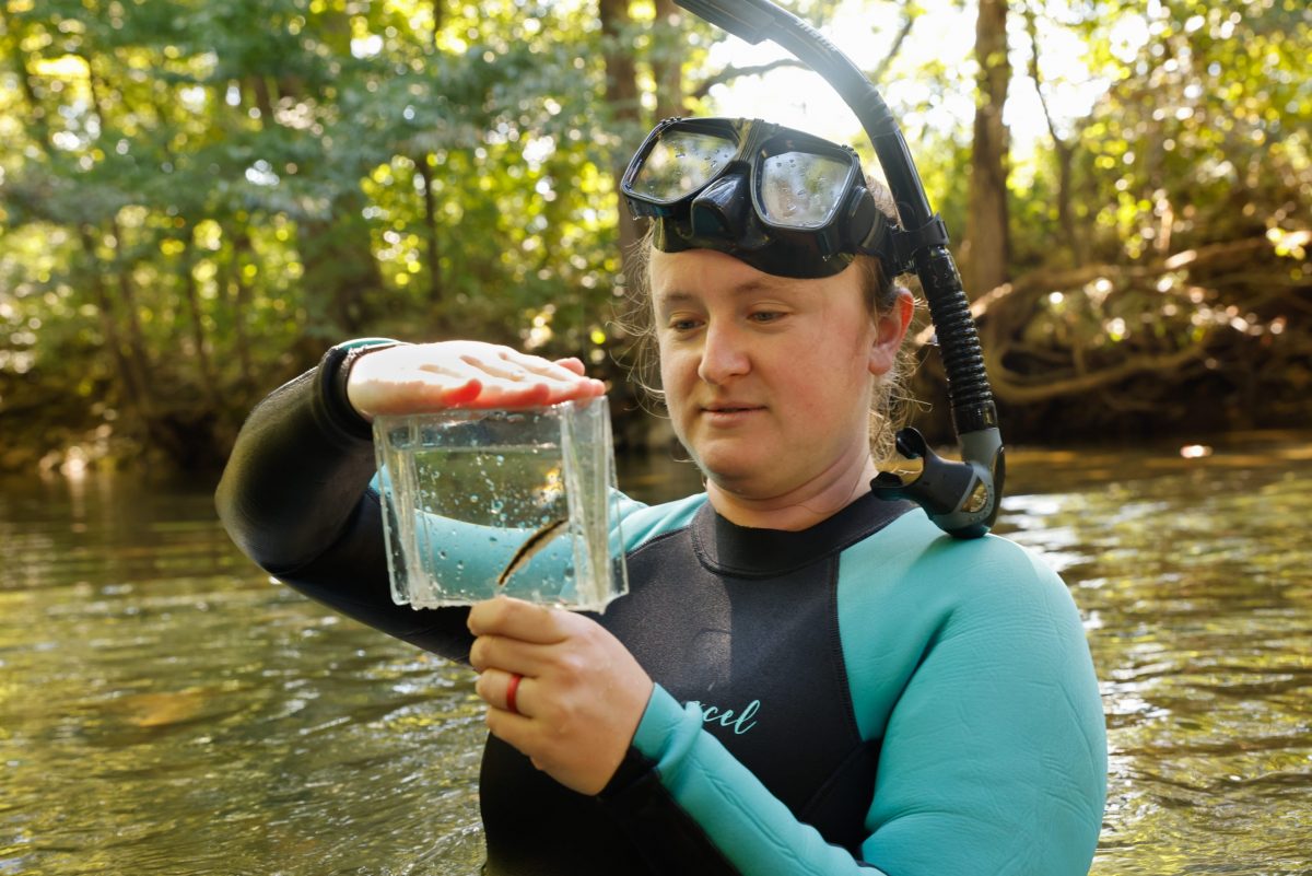 Tennessee Aquarium Recovery Biologist Shawna Fix looks at a Bridled Darter during a field project.