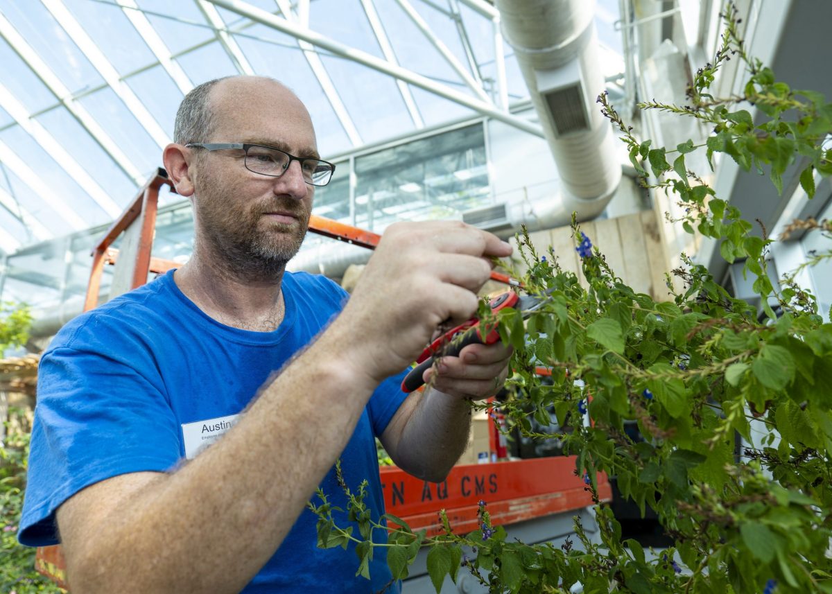 Horticulturist II Austin Prater prunes a plant in the Butterfly Garden