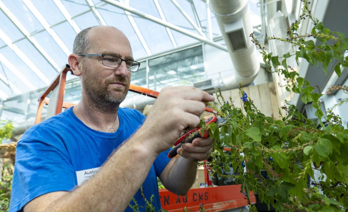 Horticulturist II Austin Prater prunes a plant in the Butterfly Garden