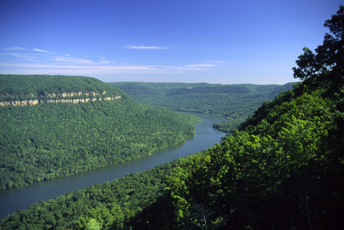 Tennessee River Gorge in spring