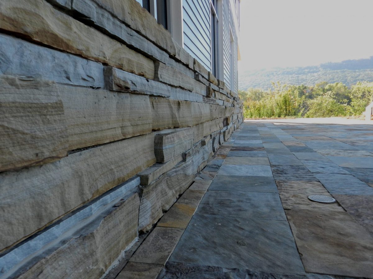 Decorative rock work left unfinished on TNACI's headquarters to provide shelter to native reptiles.