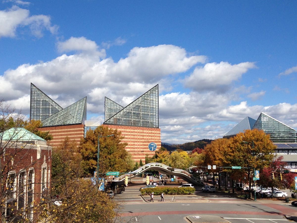 Tennessee Aquarium viewed from Broad Street with colorful fall foliage in front