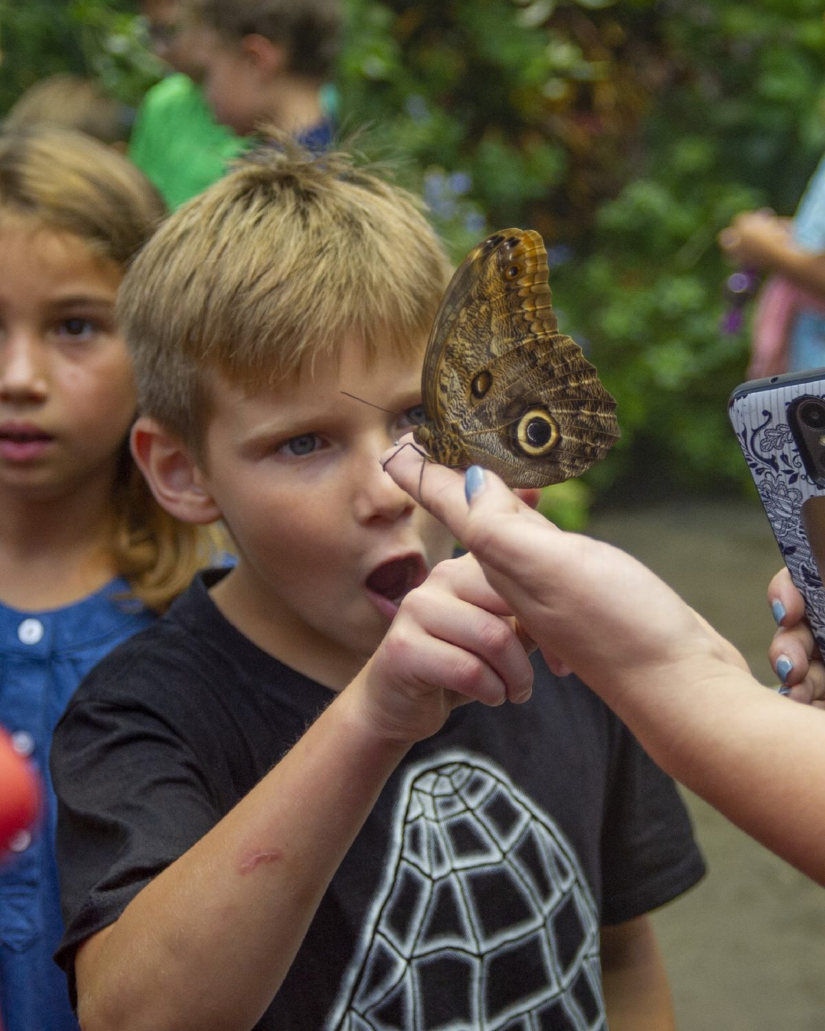 young guest with butterfly on his finger