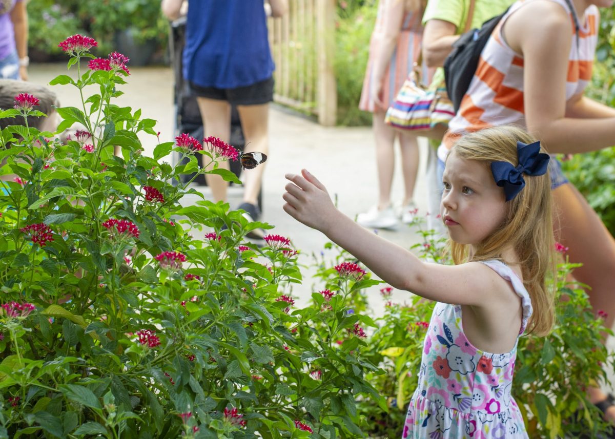 girl standing in butterfly garden