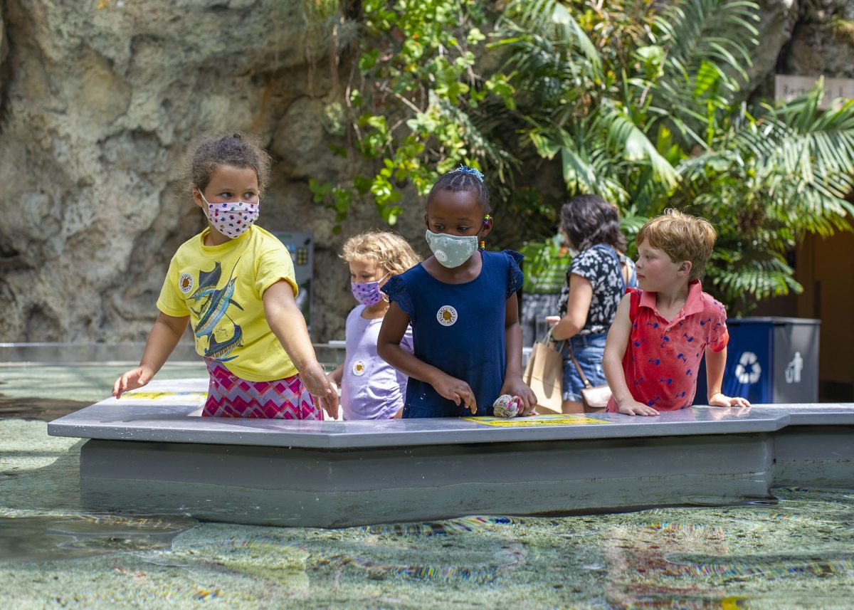 Children enjoy the Aquarium's touch tank exhibit
